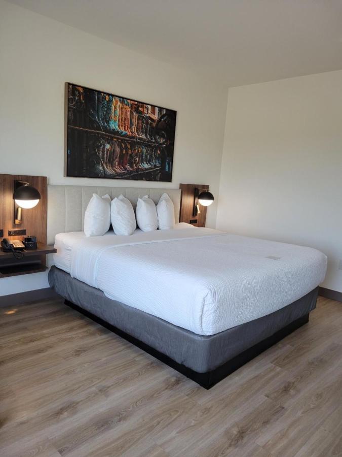 La Quinta Inn & Suites By Wyndham Terrell Bagian luar foto