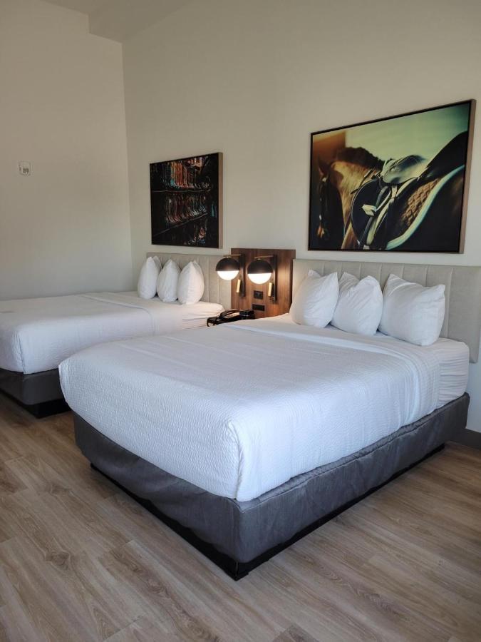 La Quinta Inn & Suites By Wyndham Terrell Bagian luar foto