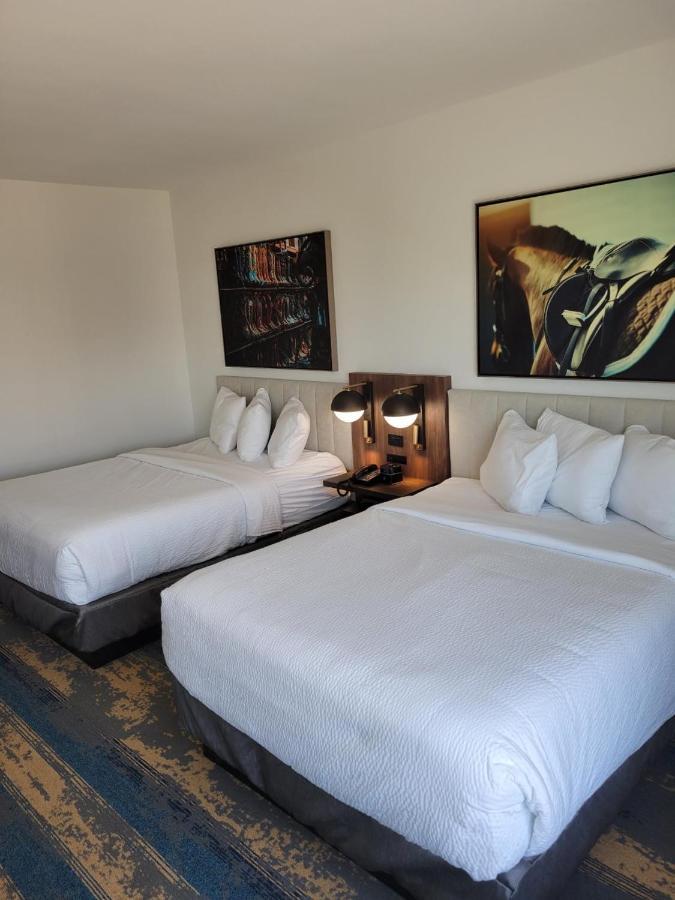 La Quinta Inn & Suites By Wyndham Terrell Bagian luar foto